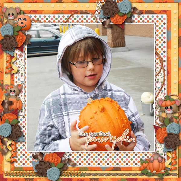 The Perfect Pumpkin
