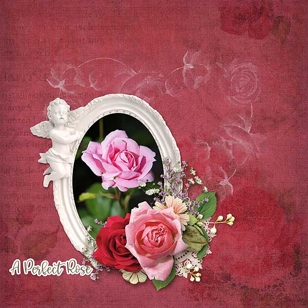 The Perfect Rose