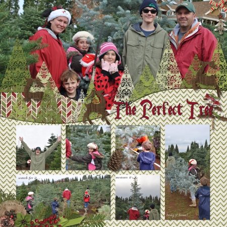 The Perfect Tree