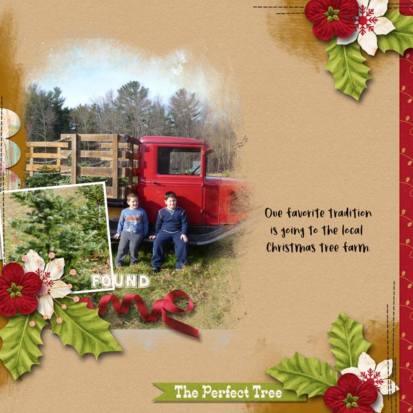 The Perfect Tree