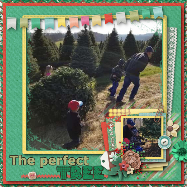 The Perfect Tree