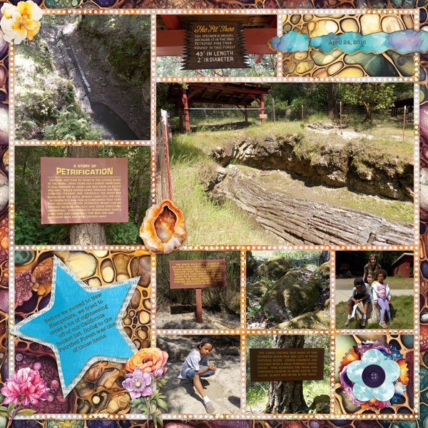 The Petrified Forest