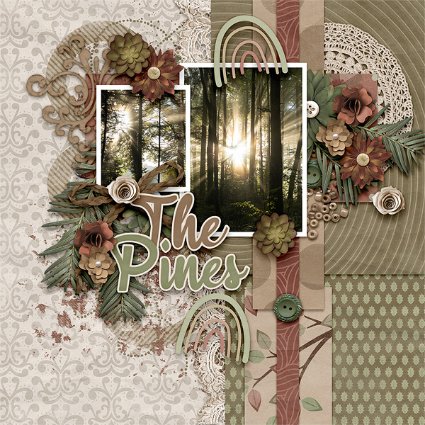 The Pines