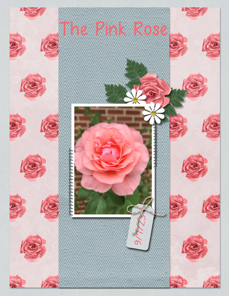 The Pink Rose