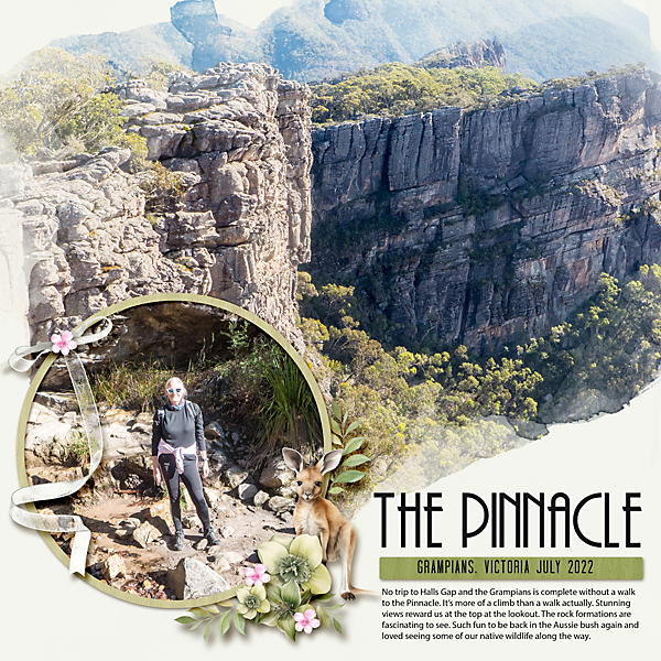 The Pinnacle of the Grampians