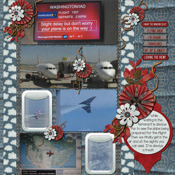 The Plane
