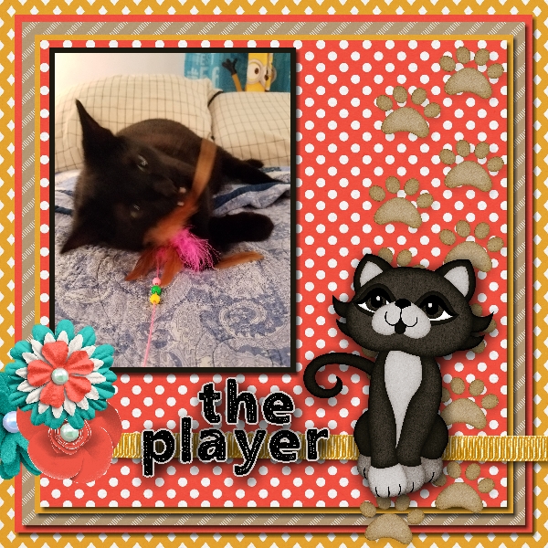 The Player