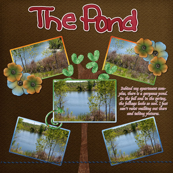 The Pond