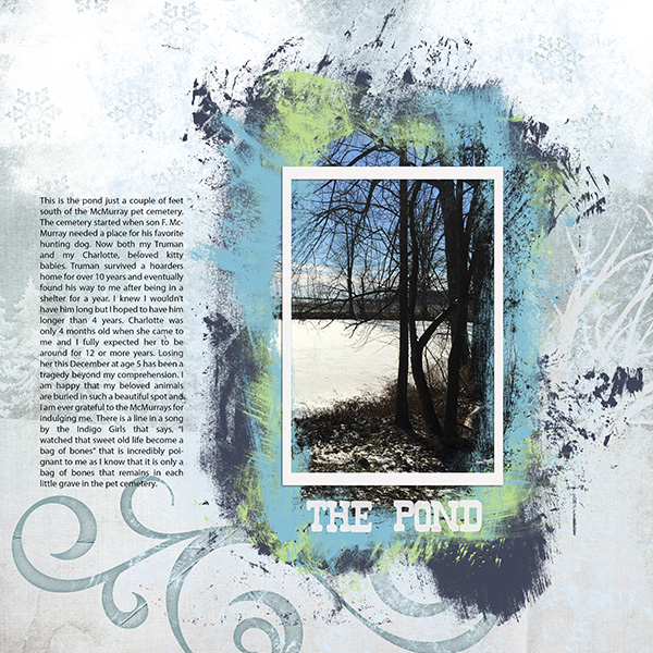 The Pond