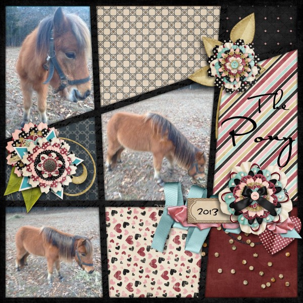 The Pony