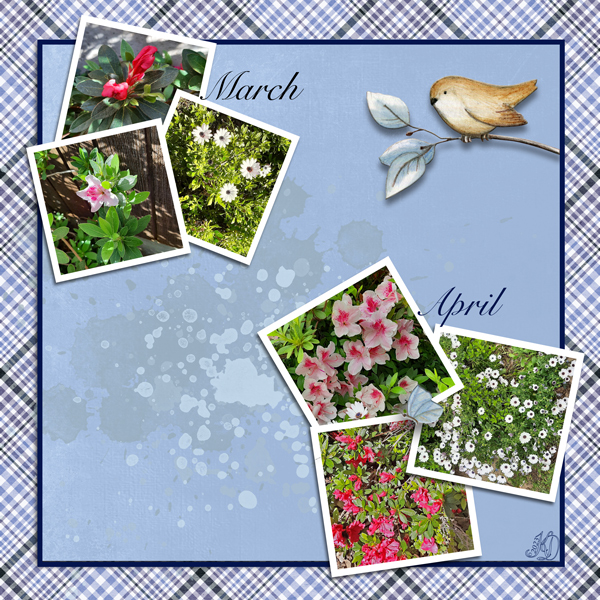 the progression of spring