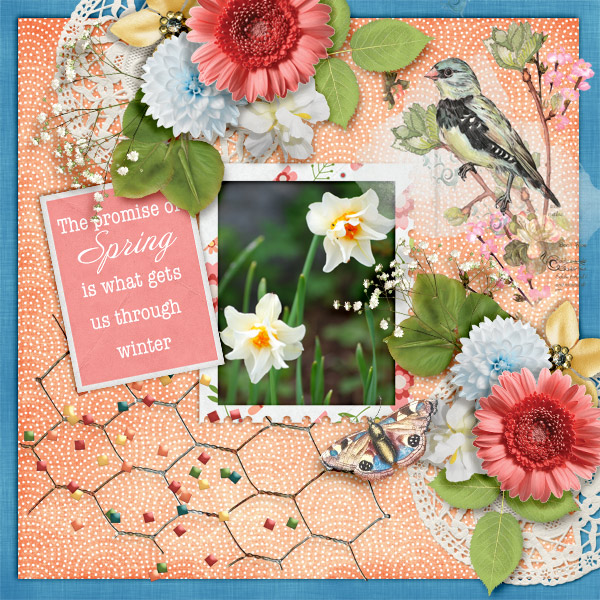The-promise-of-spring