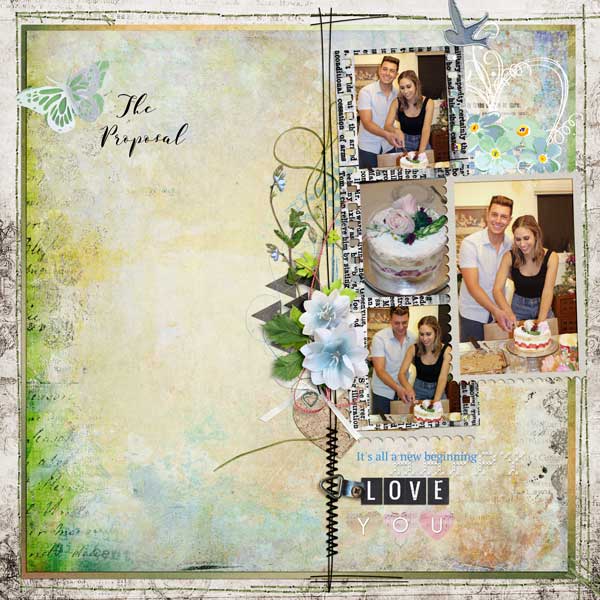 the proposal