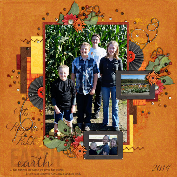 The Pumpkin Patch 2014