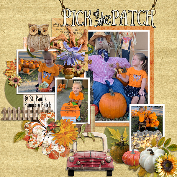 @ the Pumpkin Patch 2020 L