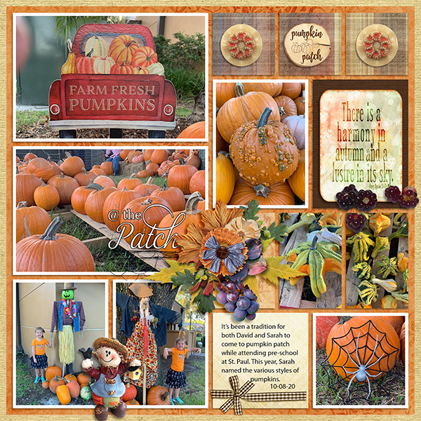 @ the Pumpkin Patch 2020 R