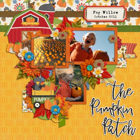 The Pumpkin Patch