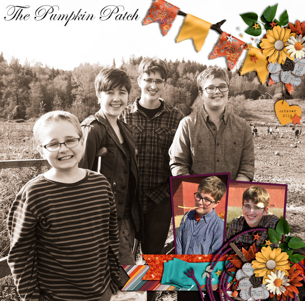 The Pumpkin Patch