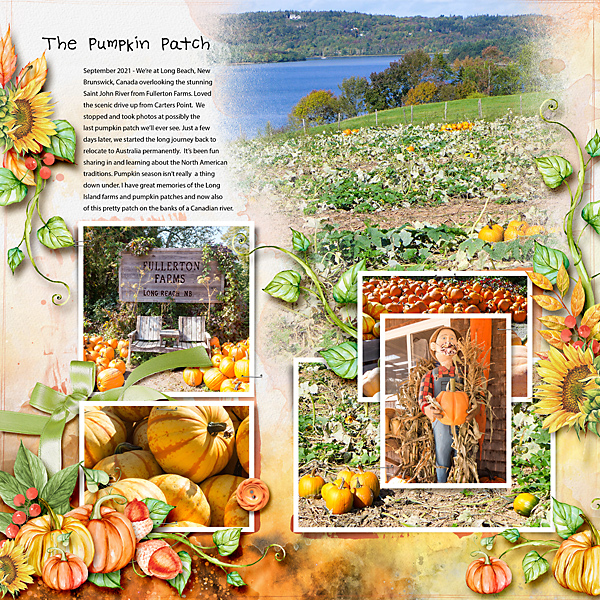 The Pumpkin Patch