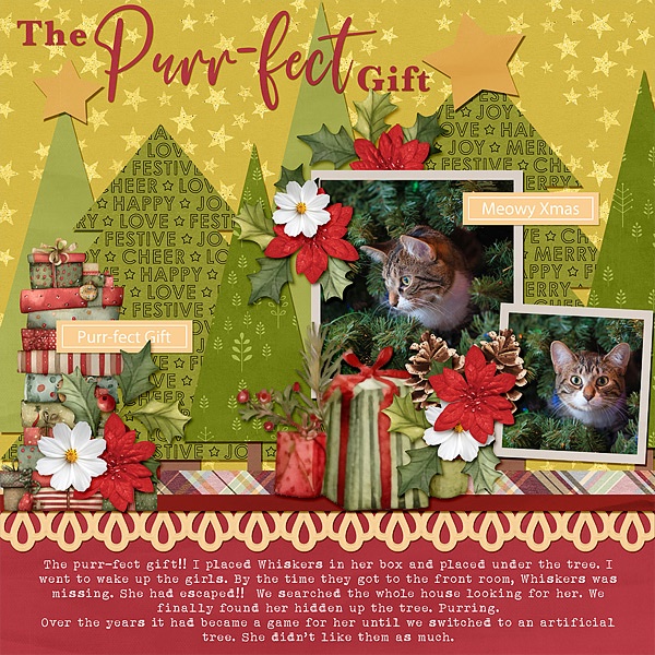 The Purr-fect Gift