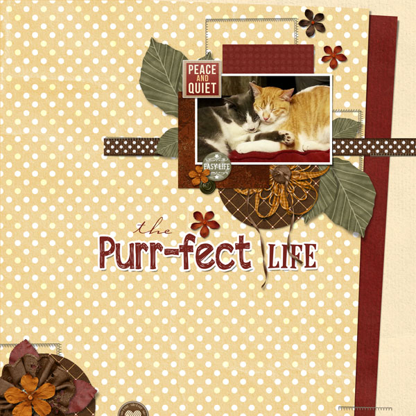 The Purr-fect Life