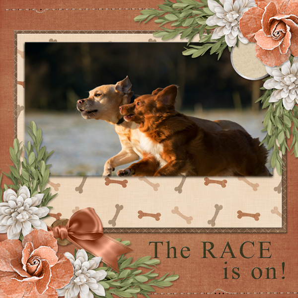 The RACE is on!