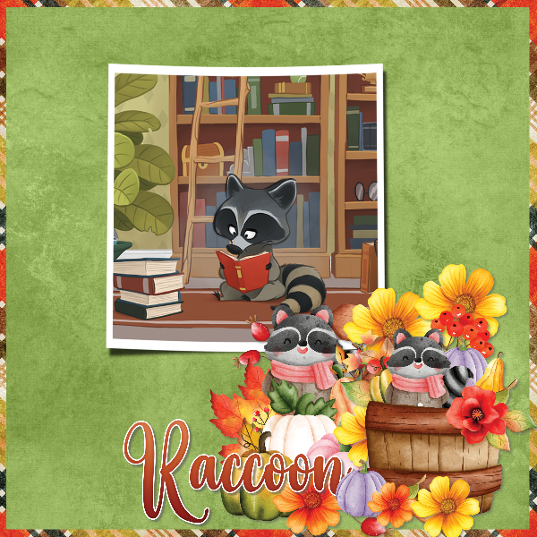 the reading_raccoon
