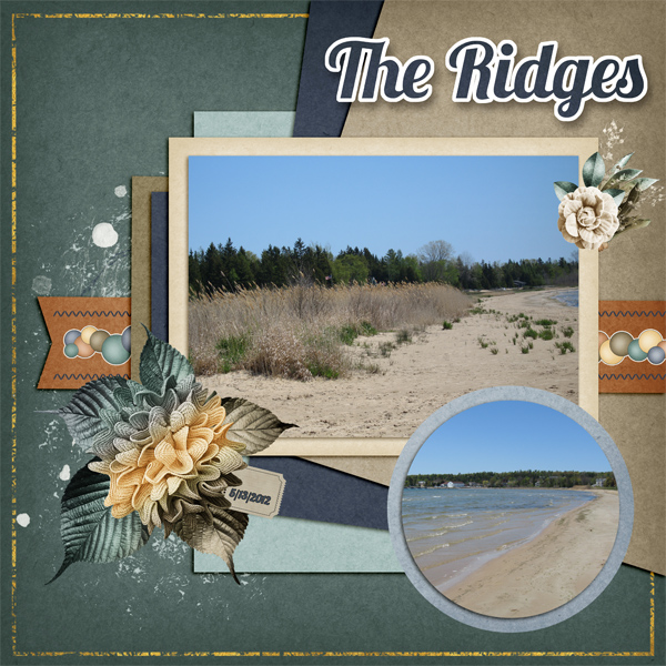 The Ridges