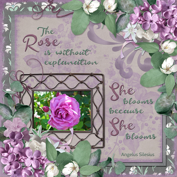 The Rose is without explanation ...