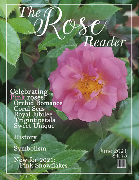 The Rose Reader