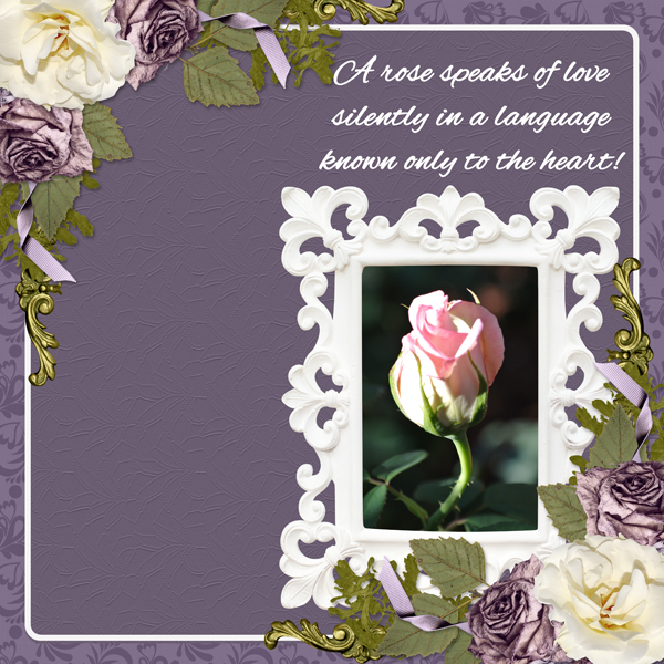 The rose speaks of love silently ...