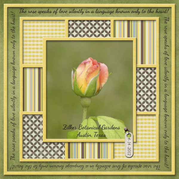 The rose speaks of love ...
