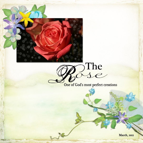 The Rose