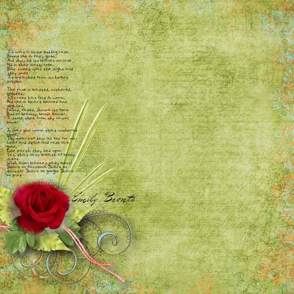 The rose