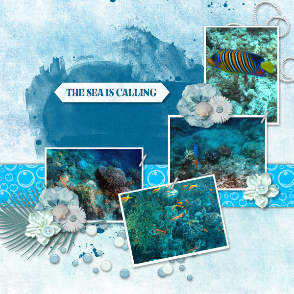 The Sea is Calling