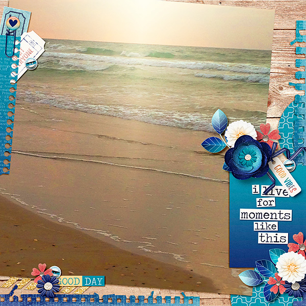 The Sea Vibe