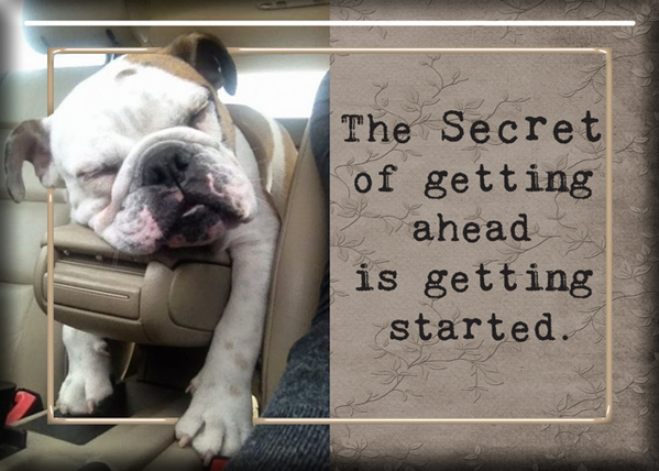 The Secret