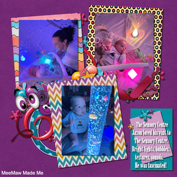 The Sensory Centre