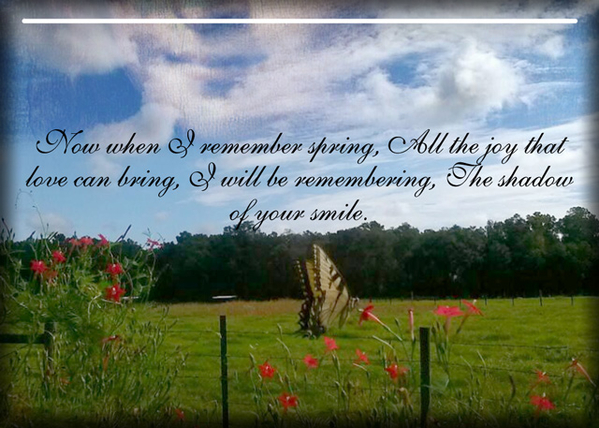 The Shadow of Your Smile
