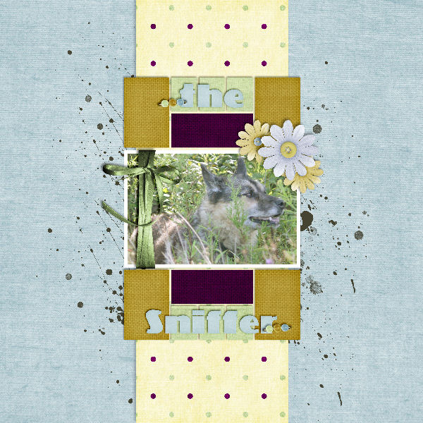The Sniffer