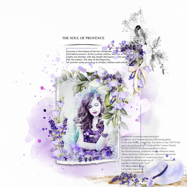 The Soul of Provence