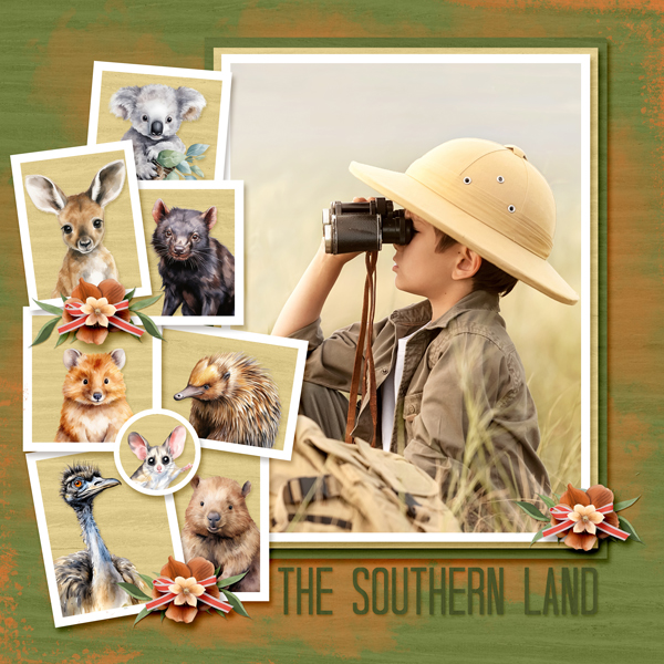 The Southern Land