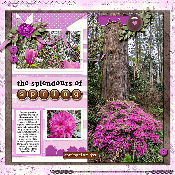 The splendours of spring