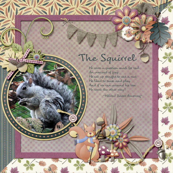 The squirrel