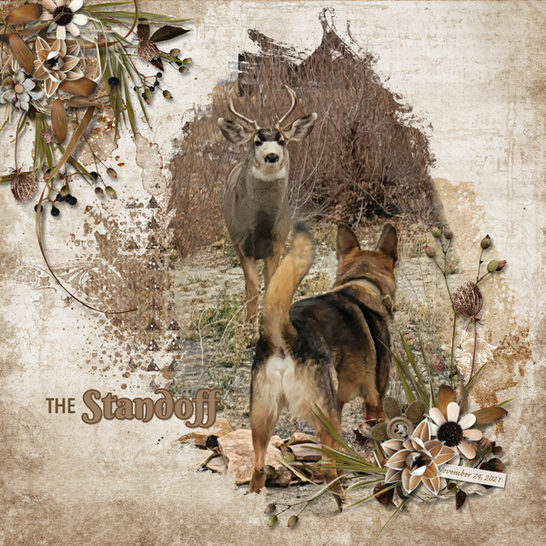 The-Standoff-web1
