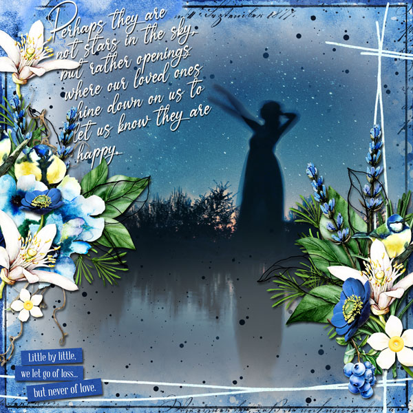 The Stars In The Sky