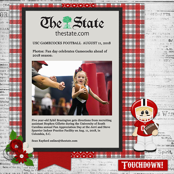 The State Newspaper