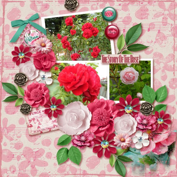 The Story Of The Rose