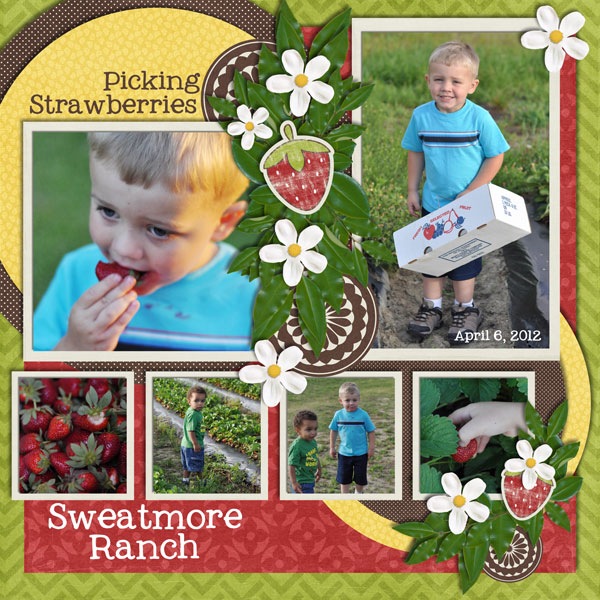 The Strawberry Farm