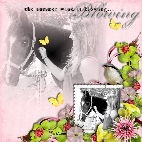 The Summer Wind